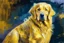 Placeholder: style of Frank Auerbach, Golden retriever dog