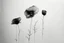 Placeholder: Minimalist ink pencil and charcoal drawing of poppies