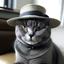 Placeholder: A cat wearing a hat