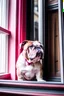 Placeholder: pink bulldog standing in a window