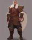 Placeholder: d&d character, dwarf, male, paladin, armor