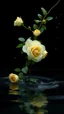 Placeholder: The image is a digital artwork that depicts a branch of tree of Yellow roses and leaves tangling in to a water in the river with aThe rose floats on the surface of the water, creating a wave-like effect. The background is black, which makes a branch of a tree of white roses stand out even more. Water droplets are scattered adding to the dreamy, ethereal quality of the image. The a