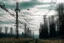 Placeholder: Power lines in the middle of nature and birds flying in the sky, real and current photography, 16K, photojournalism