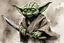 Placeholder: yoda shaped axe, create in inkwash and watercolor, in the comic book art style, highly detailed, gritty textures,