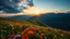 Placeholder: beautiful Green hills covered with flowers colorfull ,blue sky dark clouds with godray at sunset ,very nice flowers at closeup ,wonderfull mountains at distance