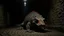 Placeholder: (extreme long shot), profile of a gila monster standing at the end of a neglected and grimy subway tunnel, wet ground. Ethereal, symmetrical and orderly.