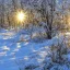 Placeholder: winter landscape, bells, sun