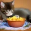 Placeholder: Romanian kitty eating traditional food