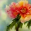 Placeholder: watercolor of a peony, warm colors, water color streaks and splashes, in the style of turner, white space