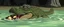 Placeholder: realistic anime crocodile hippo with fluffy hair, doing dog things and eating small dog in the style of fallout 4 and giger and escher