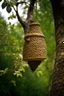 Placeholder: Beehive hanging from tree branch