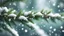 Placeholder: a fir tree branch . Delicate snow droplets glisten, a magical forest backdrop,evergreen branches create a vivid and beautiful natural background,low poly