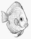 Placeholder: Cartoon outline, Discus fish full body, coloring pages, no color, highly detailed, black and white, white background, highly detailed