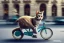 Placeholder: Cat riding on a bike in Vienna. Perfect iris, blablabla