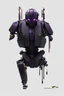 Placeholder: Human Like Cyborg, Royal purple and Gold, Combat Robot, Dangerous, Strong, Destroyed