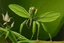 Placeholder: An olive green nature elemental orchid mantis painted by René Magritte