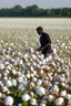 Placeholder: Cotton field, black man, picking