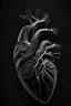 Placeholder: Gray human heart, black background