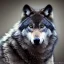 Placeholder: Black and gray wolf