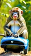 Placeholder: Make a monkey drive a Bugatti with Sunglasses on