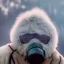 Placeholder: Yeti in a mask, background = (wildfires, mountains, fires, smoke, disaster)