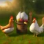 Placeholder: chicken full body field background