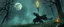 Placeholder: ninja necromancer in the wild