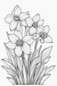 Placeholder: outline art for Spring: Daffodils, White background. sketch style, clean line art, white background, no shadow and clear