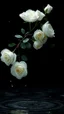 Placeholder: The image is a digital artwork that depicts a bouquet of white rose with aThe rose floats on the surface of the water, creating a wave-like effect. The background is black, which makes a branch of a tree of white roses stand out even more. Water droplets are scattered adding to the dreamy, ethereal quality of the image. The a