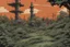 Placeholder: radio tower, overgrown apocalyptic, background, comic book,