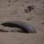 Placeholder: 8k alien dune spaceship sandworm