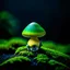 Placeholder: "Close up of a wonderful tiny Mushroom Tower home. green and yellow with bright white, deep black and contrasting tones of gray. Illuminated bioluminescent forest. Professional painter, master at composition. small but detailed. broken, blurred background, voluminous lighting"