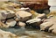 Placeholder: Clludy day, rocks, cliffs, arid land, river, weeds, winslow homer watercolor paintings