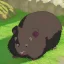 Placeholder: guinea pig panther