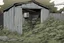 Placeholder: shed, overgrown apocalyptic, grey background, comic book,