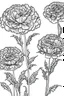 Placeholder: Outline art for coloring page, MARIGOLDS WITH STEMS, coloring page, white background, Sketch style, only use outline, clean line art, white background, no shadows, no shading, no color, clear