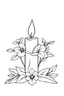 Placeholder: outline art for candle flower love coloring page for kids, classic manga style, anime style, realistic modern cartoon style, white background, sketch style, only use outline, clean line art, no shadows, clear and well outlined