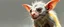 Placeholder: rat gremlin gandalf as woman , airbrush and pen outline