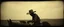 Placeholder: STYLE: gritty 19th-century gothic photography, Zdzisław Beksiński surrealism.Titian, Rembrandt Caravaggio chiaroscuro, tactile analog grain, pinhole-camera softness, heavy vignetting, scratched emulsion, rugged irregular photo border. SCENE: alien cowboy, completely absorbed in the mundane task.