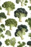 Placeholder: brassica napus and pinus sibirica gum pattern on white background