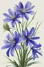 Placeholder: Agapanthus flower water color on white background