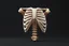 Placeholder: An stiffened rib, huge, 3d asset, full length