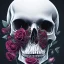 Placeholder: Skull ,poertrait , roses ,4k