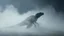 Placeholder: minimal soft studio light photography, A solitary Iguanodon in a misty environment, with soft fog enveloping the ground and the creature’s silhouette partially obscured, creating a mysterious atmosphere., high detail, solid bold color background