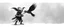 Placeholder: air brush 3d with pen outline, mongrel goblin gremlin holding big big bird with shadow outline, charcoal fog border