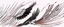 Placeholder: flying eagle diving to the bottom right , while trailing graphic lines and lost feathers, vector