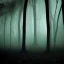 Placeholder: terrifying dark wood forest shadow, horror art