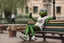 Placeholder: A cool Pepe sitting on the bench and get selfi