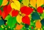 Placeholder: pop art pixels 1000 images english leaves in spring abstract damian hirst
