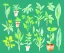 Placeholder: Vector plants and herb set illustration. Watercolor illustration color